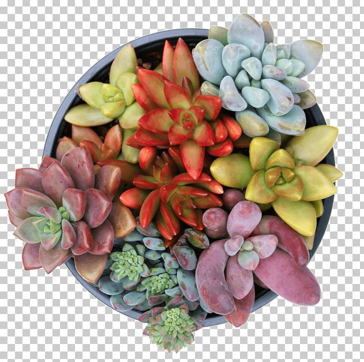 Cut Flowers Plant Vegetable PNG, Clipart, Cut Flowers, Flower, Flowerpot, Fruit, Nature Free PNG Download