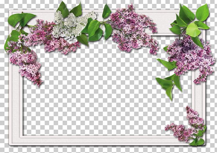 Frames Flower Christmas PNG, Clipart, Blossom, Border Frames, Branch, Christmas, Clip Art Free PNG Download