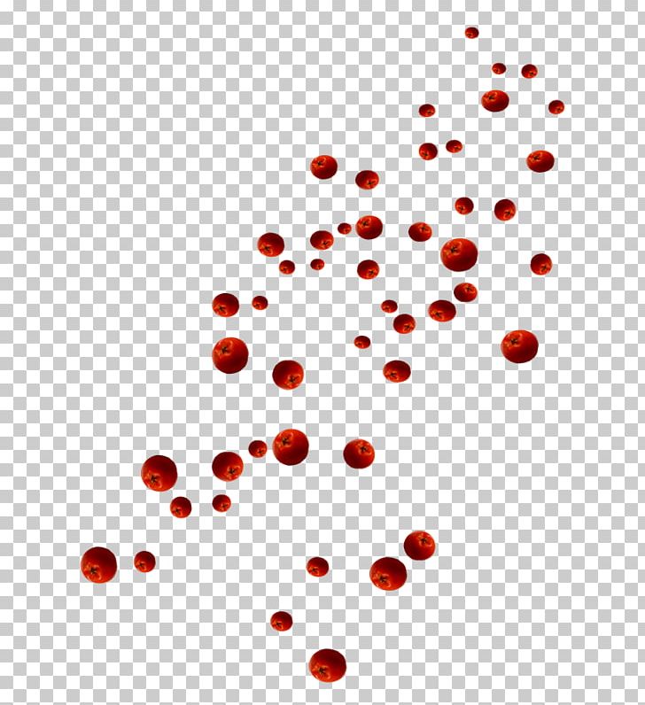Mountain-ash Blood Computer Icons PNG, Clipart, Area, Auglis, Berry, Blood, Computer Icons Free PNG Download