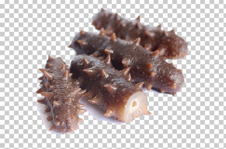 Sea Cucumber As Food Seafood PNG, Clipart, Animal Source Foods, Chocolate, Chocolate Brownie, Cucumber, Cucumber Slices Free PNG Download