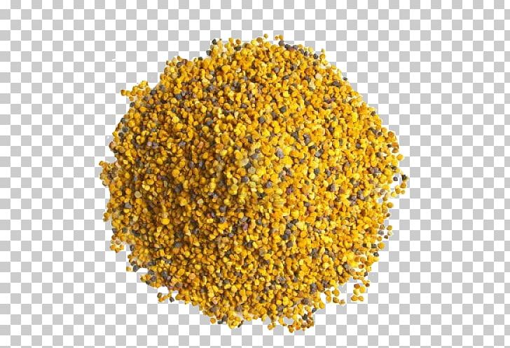 Western Honey Bee Bee Pollen Flower PNG, Clipart, Apiary, Apidae, Apitherapy, Bee, Beehive Free PNG Download