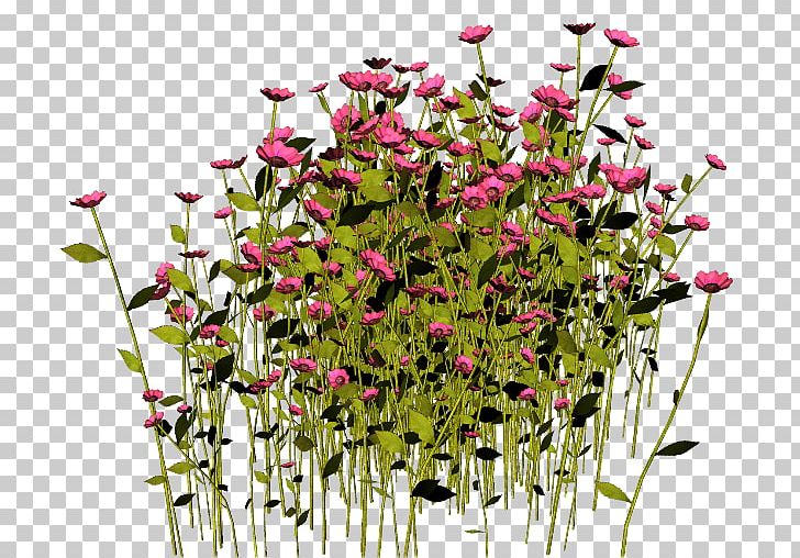 Floral Design Flower PhotoScape PNG, Clipart, Annual Plant, Bush, Computer, Cut Flowers, Flora Free PNG Download