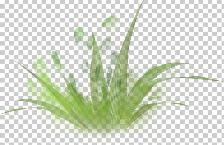 Painted Green Grass PNG, Clipart, Background Green, Cartoon, Computer Graphics, Computer Wallpaper, Download Free PNG Download