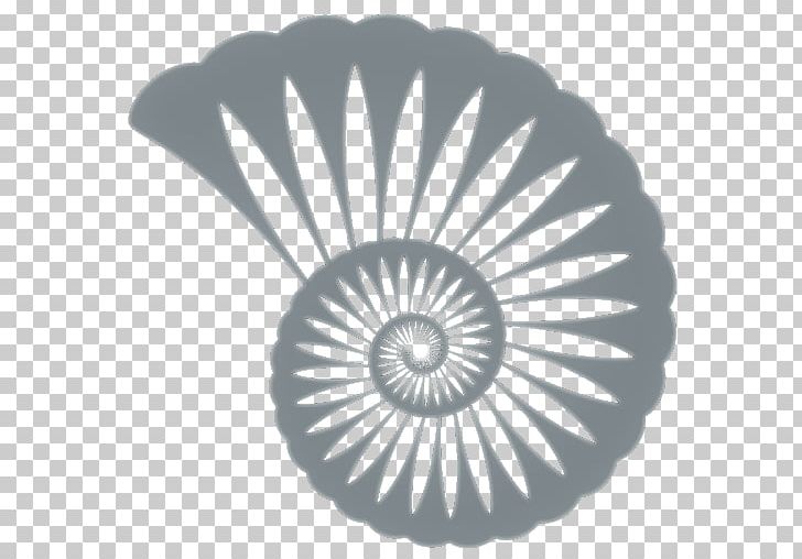 Silhouette Seashell PNG, Clipart, Ammonites, Animals, Art, Black And White, Circle Free PNG Download