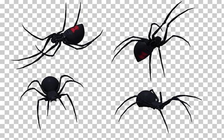 Spider Southern Black Widow Latrodectus Hesperus Drawing PNG, Clipart, Arachnid, Art, Arthropod, Black Widow, Black Widow Spider Art Free PNG Download
