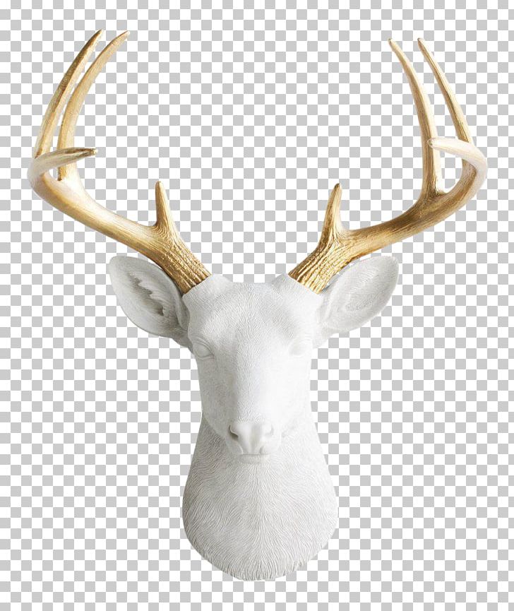 White-tailed Deer Antler Taxidermy Wall Decal PNG, Clipart, Animals, Antler, Art, Art Deco, Color Free PNG Download