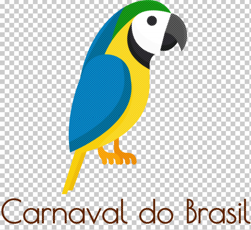 Carnaval Do Brasil Brazilian Carnival PNG, Clipart, Beak, Brazilian Carnival, Carnaval Do Brasil, Macaw, Meter Free PNG Download
