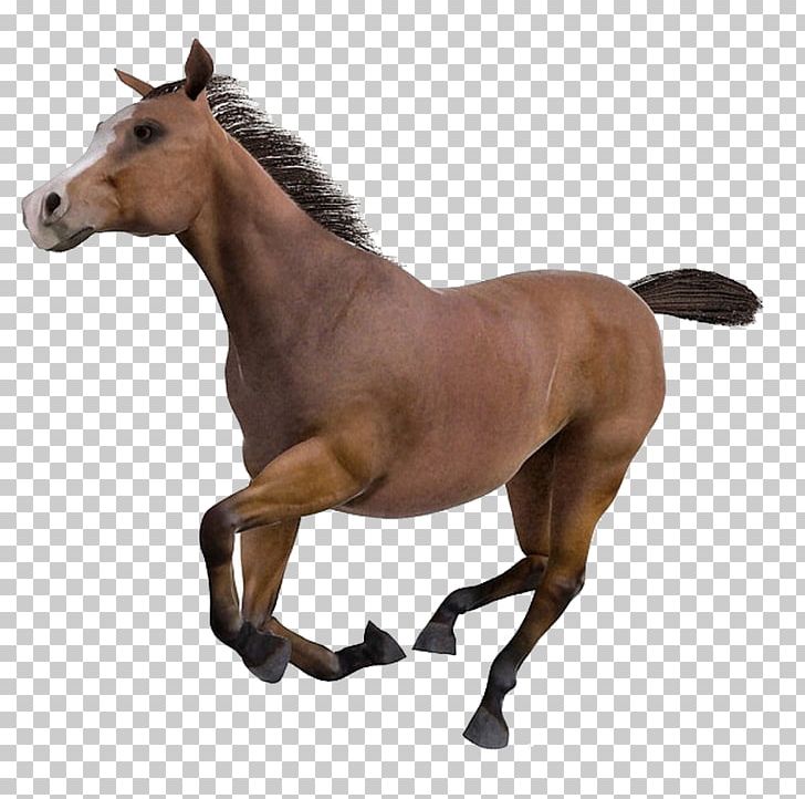Horse Cinema 4D Wavefront .obj File FBX Texture Mapping PNG, Clipart, 3d Computer Graphics, 3d Modeling, Animal, Animals, Athlete Running Free PNG Download