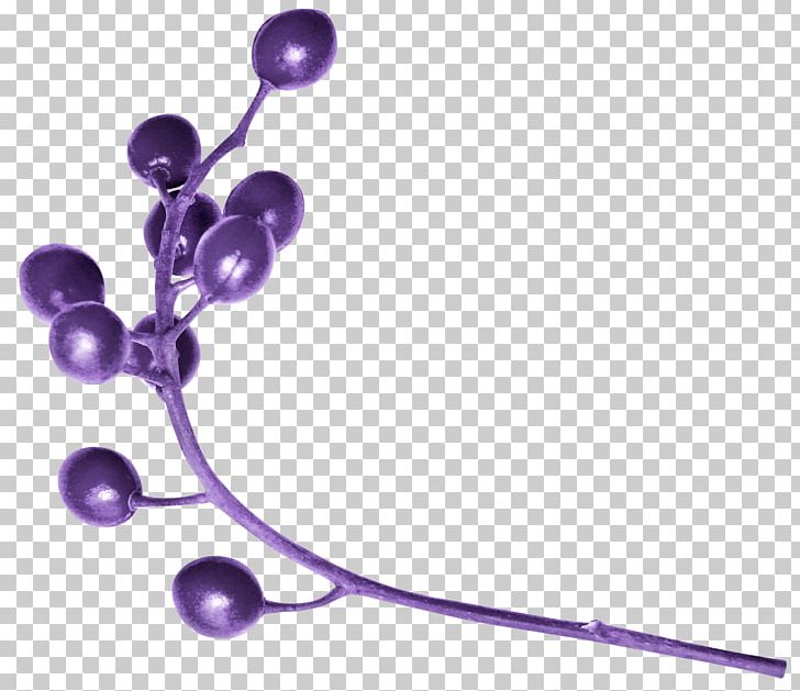 Lilac Lavender Violet Purple PNG, Clipart, Berries, Body Jewellery, Body Jewelry, Food Drinks, Jewellery Free PNG Download