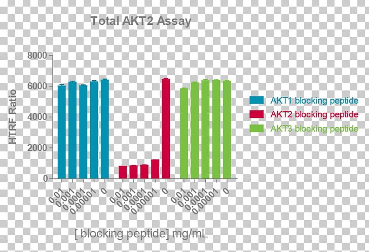 Protein Kinase B AKT3 AKT2 MTOR PNG, Clipart, Akt2, Akt3, Area, Assay, Brand Free PNG Download