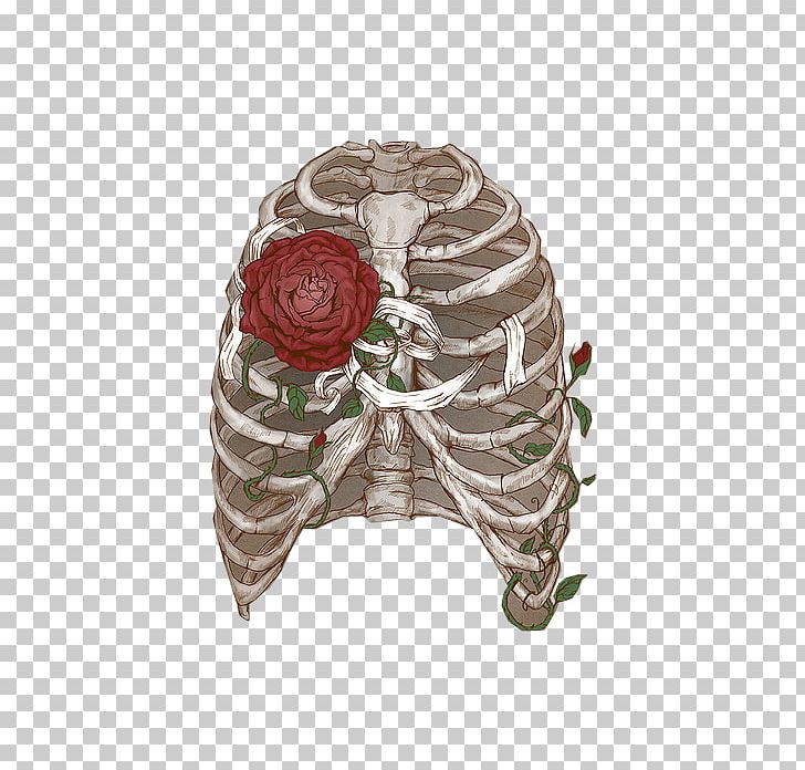 Rib Cage Human Skeleton Drawing Anatomy Flower Png Clipart Anatomy Art Bone Drawing Flower Free Png