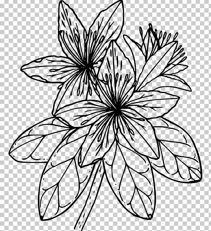 Azalea Drawing Coloring Book PNG, Clipart, Artwork, Azalea, Black And White, Botanical Illustration, Branch Free PNG Download