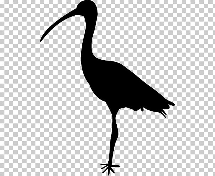 Crane Bird Heron Ibis PNG, Clipart, Beak, Bird, Bird Silhouette, Black And White, Ciconiiformes Free PNG Download