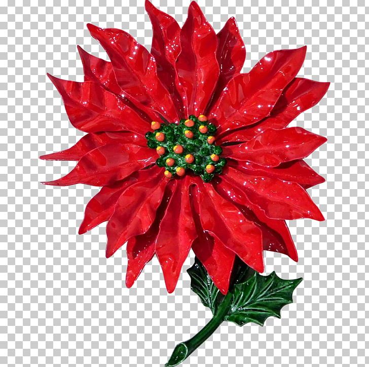 Dahlia Poinsettia Flower PNG, Clipart, Blossom, Chrysanths, Cut Flowers, Dahlia, Flower Free PNG Download