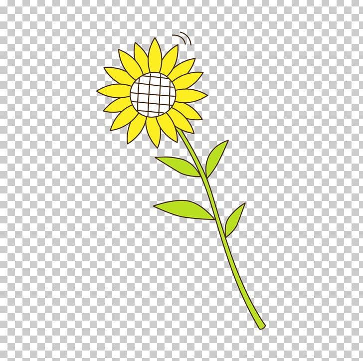 Sunflower Seed Yellow Sunflowers Pattern PNG, Clipart, Area, Daisy, Daisy Family, Flora, Floral Design Free PNG Download