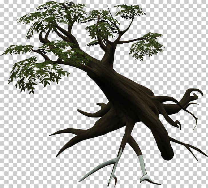 Tree Season Woody Plant Branch Hawthorn PNG, Clipart, Branch, Equinox, Hawthorn, Information, Leaf Free PNG Download