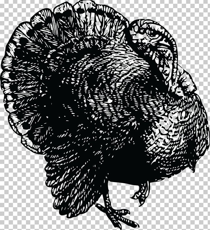 Black Turkey Turkey Meat PNG, Clipart, Baking, Beak, Bird, Black And White, Black Turkey Free PNG Download
