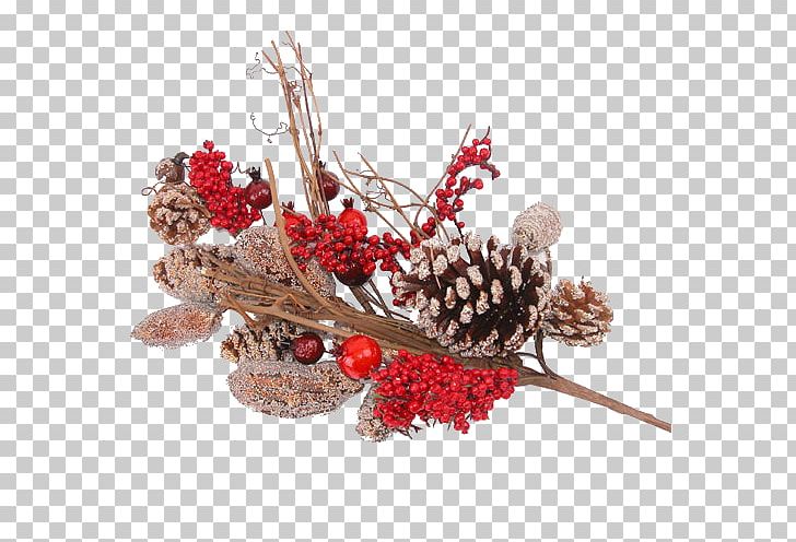 Christmas Ornament PNG, Clipart, Christmas, Christmas Decoration, Christmas Ornament, Conifer, Fruit Free PNG Download
