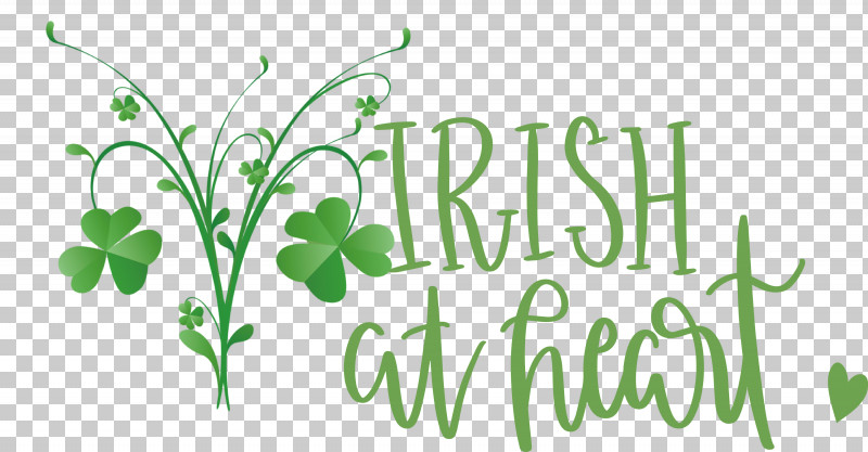 Shamrock Irish Saint Patrick PNG, Clipart, Clover, Flower, Green, Herbal Medicine, Irish Free PNG Download
