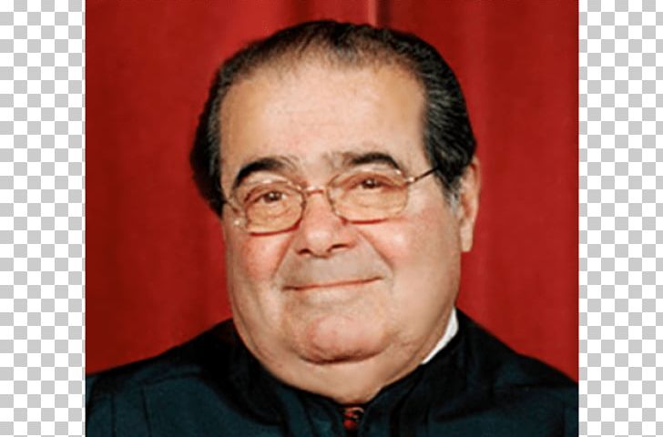 Antonin Scalia Supreme Court Of The United States FCC V. Fox Television Stations PNG, Clipart, Above The Law, Antonin Scalia, Cheek, Chin, Court Free PNG Download
