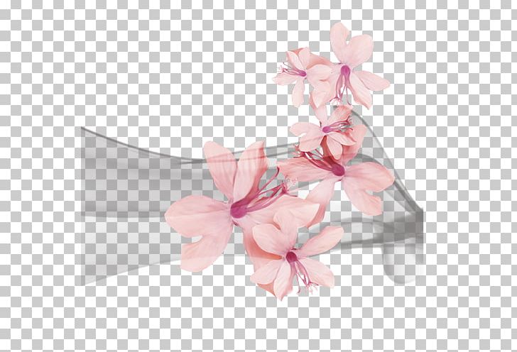 Apricot Plum Blossom PNG, Clipart, Apricot, Cherry, Cherry Blossom, Decorative Elements, Download Free PNG Download