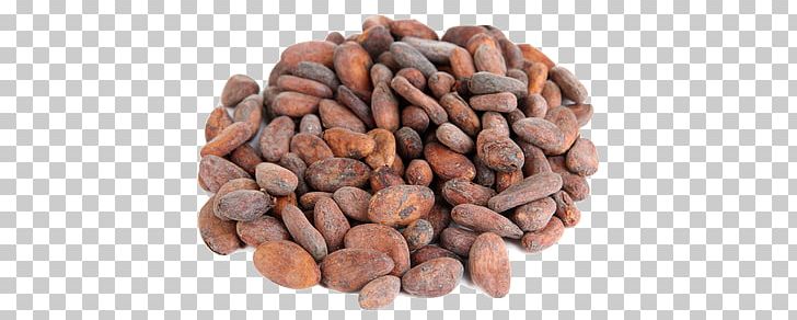 Cocoa Bean Criollo Cocoa Solids Chocolate Food PNG, Clipart, Bean, Beans, Cacao, Cacao Beans, Chocolate Free PNG Download