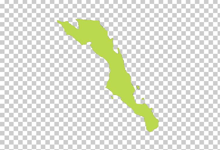 Estado De Baja California Sur State Estado De Baja California Norte PNG, Clipart, Area, Baja California, Baja California Peninsula, Baja California Sur, Cadiza Free PNG Download