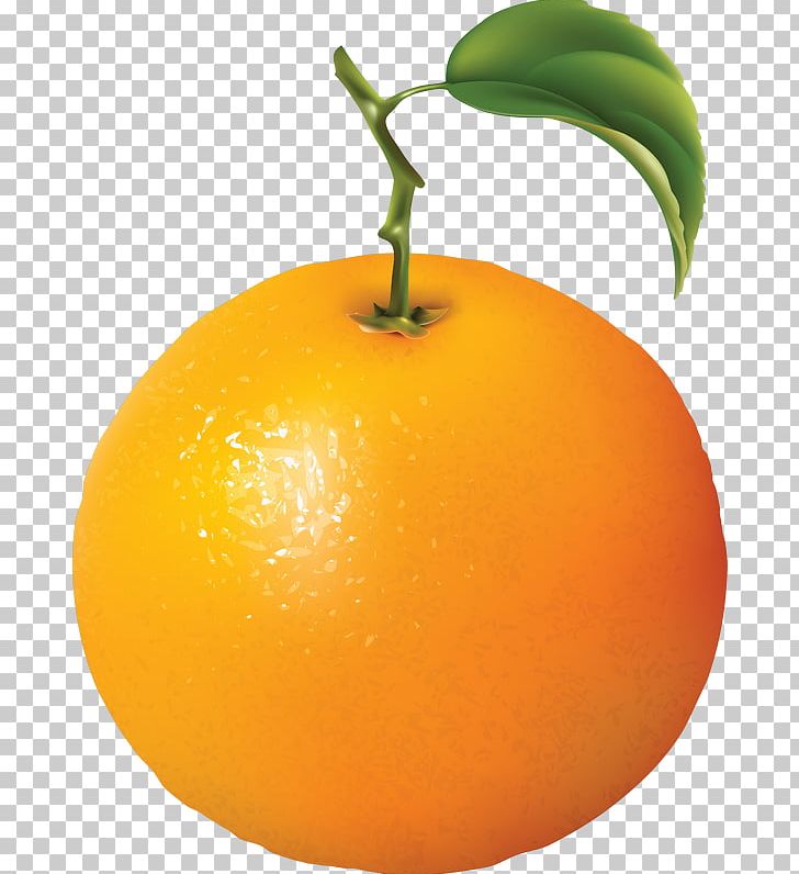 Orange Juice PNG, Clipart, Bitter Orange, Citric Acid, Citrus, Clementine, Desktop Wallpaper Free PNG Download