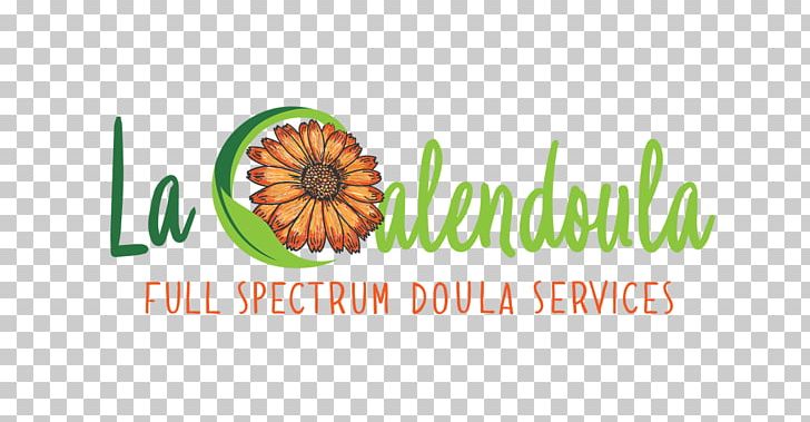 Logo Brand Superfood Font PNG, Clipart, Brand, Doula, Logo, Organism, Others Free PNG Download