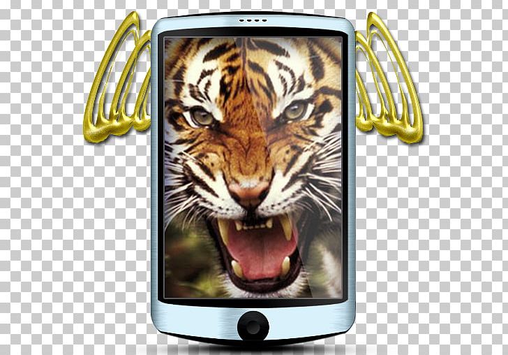 Felidae Lion Roar Takrut Big Cat PNG, Clipart, Amulet, Animals, Bengal Tiger, Big Cat, Big Cats Free PNG Download