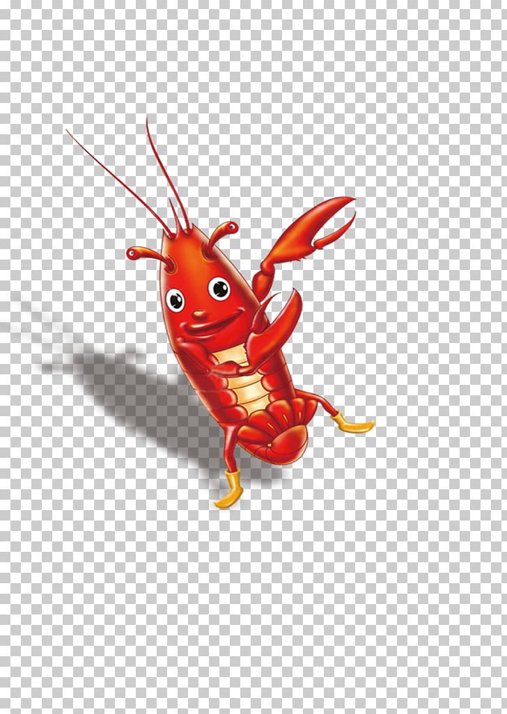 Lobster Seafood Palinurus Elephas Illustration PNG, Clipart, Animals, Balloon Cartoon, Boy Cartoon, Cartoon Alien, Cartoon Arms Free PNG Download
