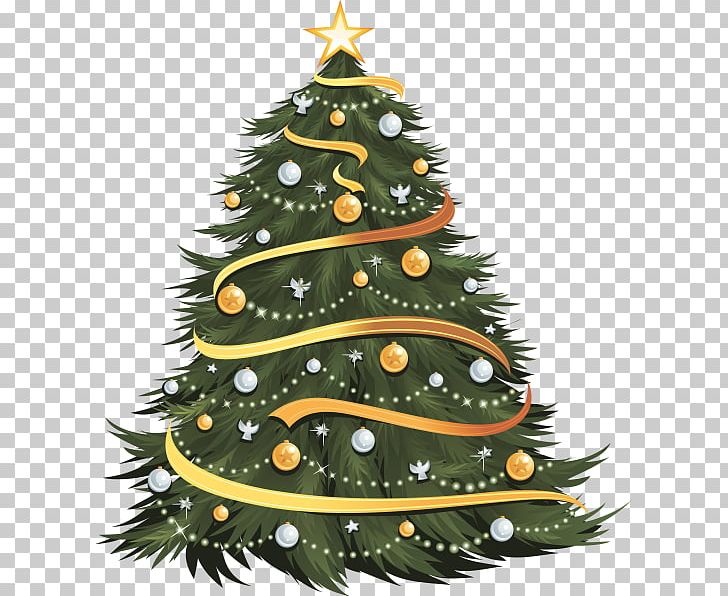 Christmas Tree PNG, Clipart, Christmas, Christmas Decoration, Christmas Ornament, Christmas Tree, Conifer Free PNG Download