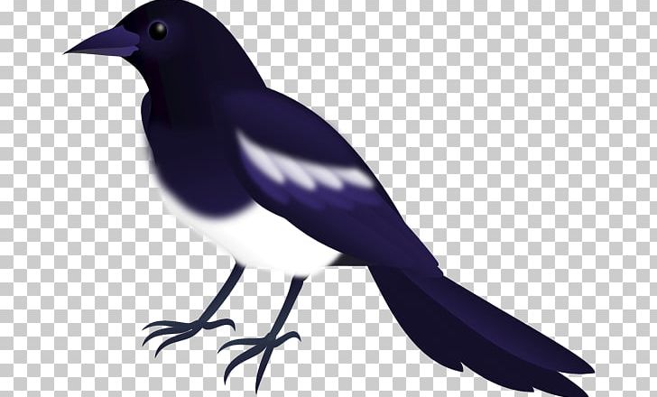 Eurasian Magpie American Crow Illustration Qixi Festival PNG, Clipart,  Free PNG Download