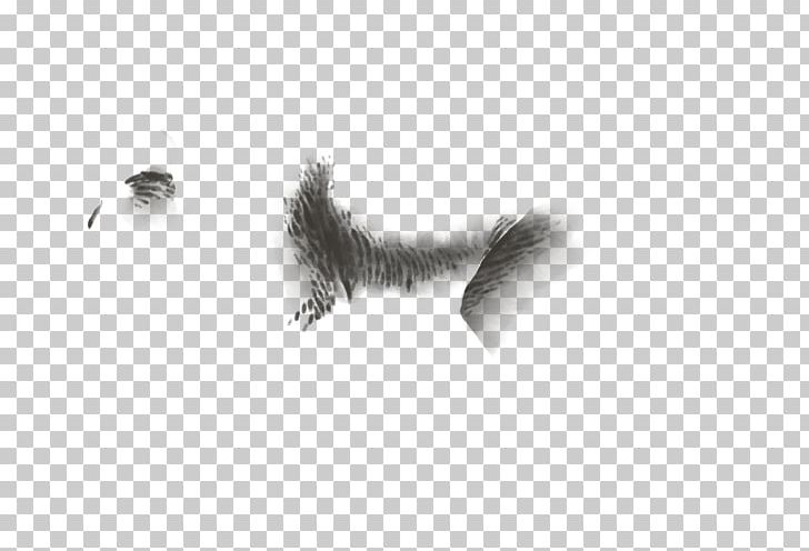 Feather Font Black M PNG, Clipart, Animals, Black, Black And White, Black M, Feather Free PNG Download