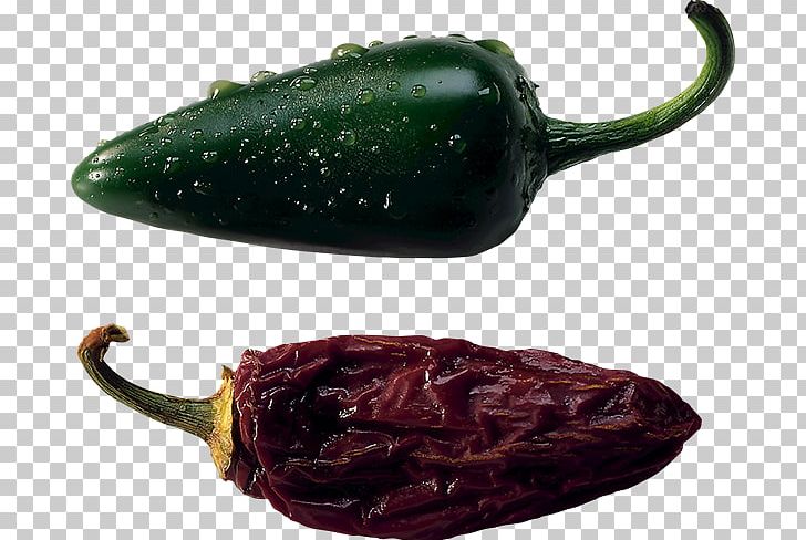 Serrano Pepper Jalapeño Poblano Pasilla Chili Con Carne PNG, Clipart, Bell Peppers And Chili Peppers, Capsicum Annuum, Chili Con Carne, Chili Pepper, Hot Free PNG Download