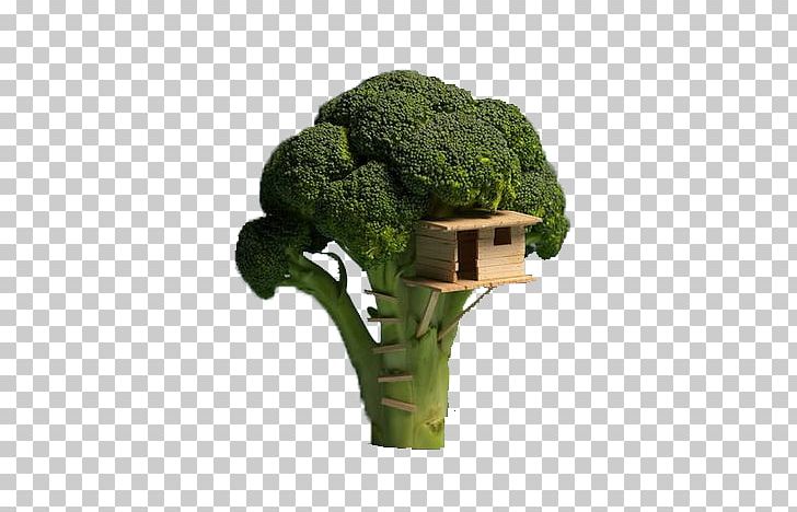 Broccoli Tree House Food Veggie Burger PNG, Clipart, Bird Nest, Bowl, Bread, Broccoli, Colossal Free PNG Download