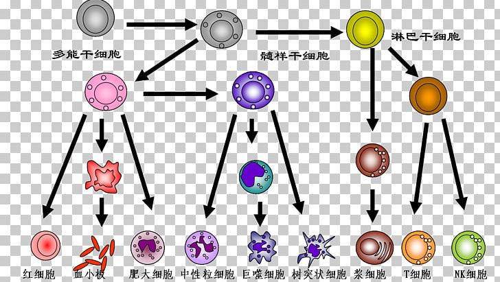 DNA Paternity Testing 2008 Sichuan Earthquake Genetic Testing Child PNG, Clipart, Angle, Antigen, Area, Body Jewelry, Cell Free PNG Download