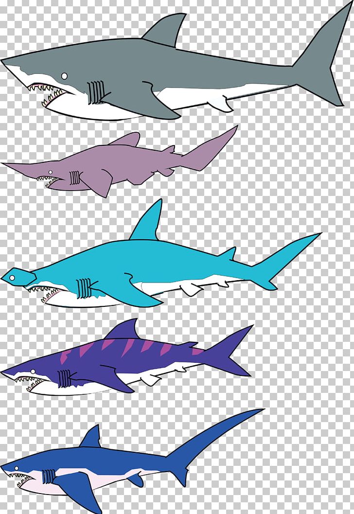 Squaliformes Thresher Shark Tiger Shark Shark Attack Dolphin PNG, Clipart, Angle, Animal, Animals, Carcharhinus Amblyrhynchos, Cartilaginous Fish Free PNG Download