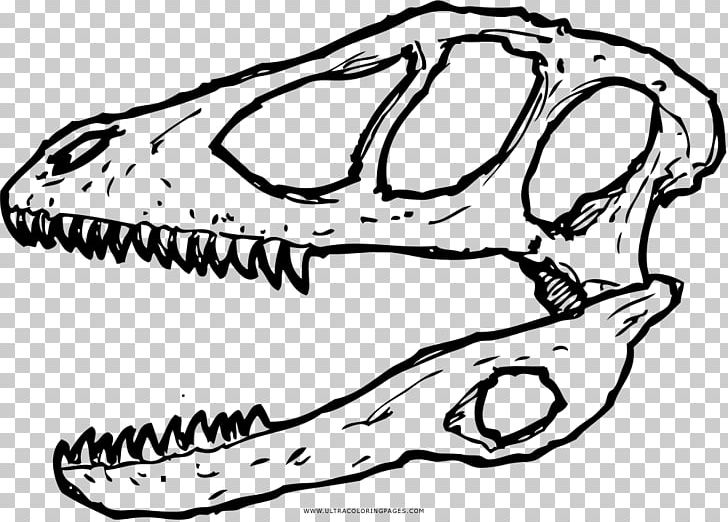 Tyrannosaurus Deinonychus Dinosaur Skull Edmontosaurus PNG, Clipart, Ankylosaurus, Art, Artwork, Carnivoran, Color Free PNG Download