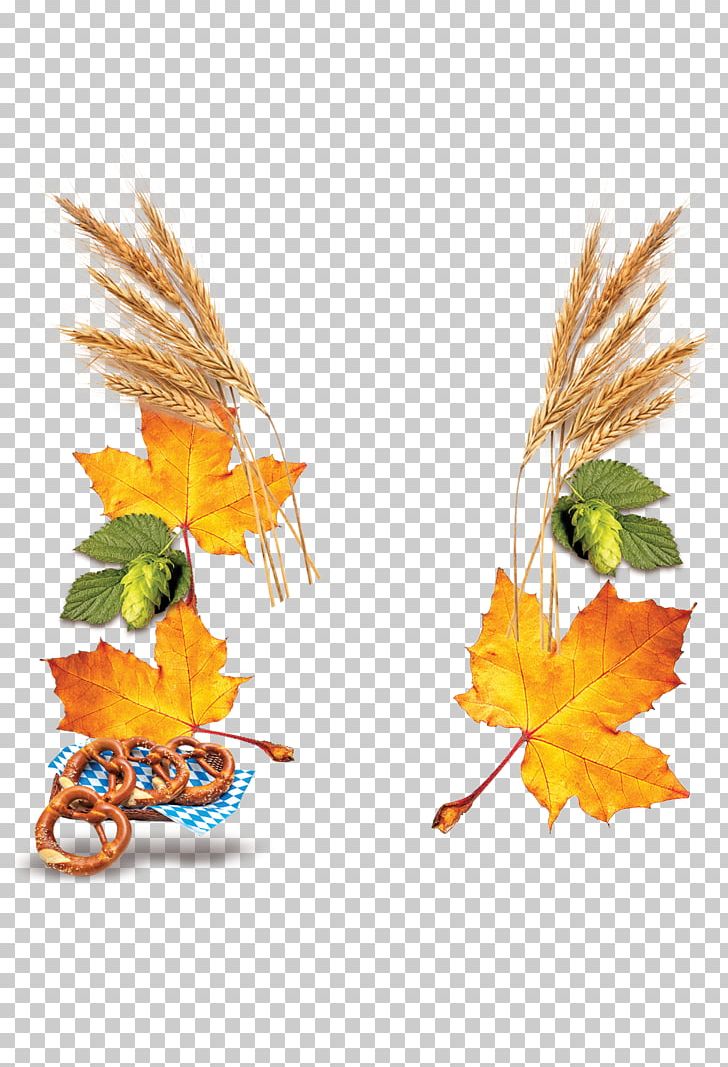 Wheat Beer Leaf Yellow PNG, Clipart, Autumn, Autumn Background, Autumn Leaf, Autumn Leaves, Autumn Tree Free PNG Download