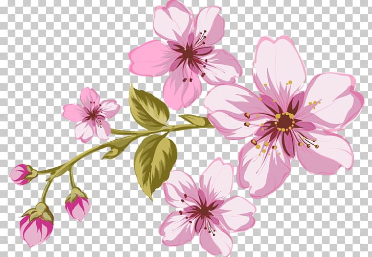 Garden Roses Flower PNG, Clipart, Art, Blossom, Branch, Cherry Blossom, Computer Icons Free PNG Download