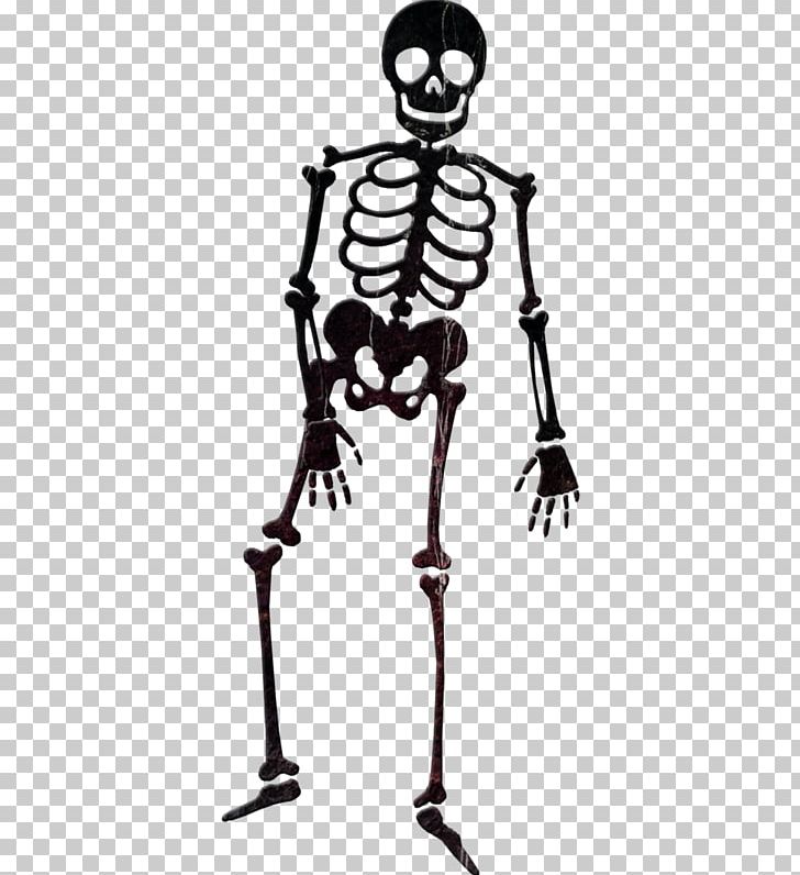 Human Skeleton Skull PNG, Clipart, Art, Background Black, Black, Black And White, Black Background Free PNG Download