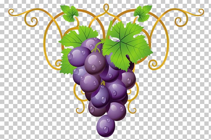 Papouli's Common Grape Vine PNG, Clipart, Clip Art, Common Grape Vine Free PNG Download