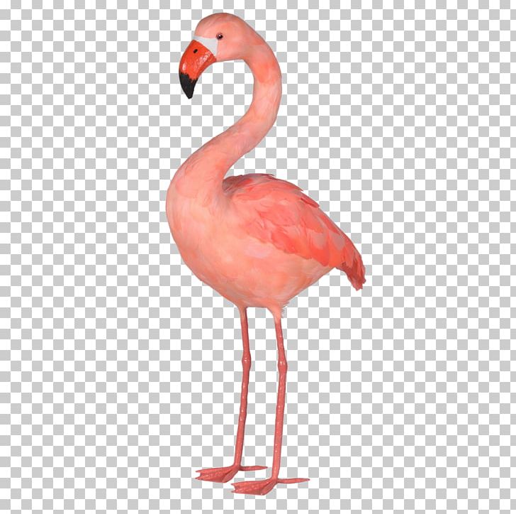Plastic Flamingo Interior Design Services Art PNG, Clipart, Animals, Art, Beak, Bird, Boutique Free PNG Download