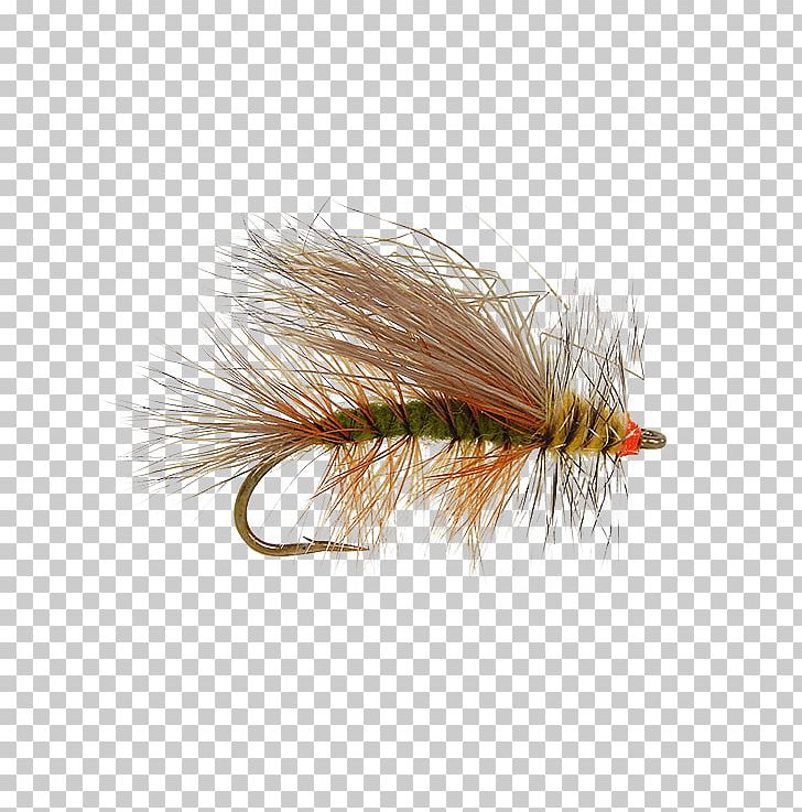 Artificial Fly Hackles Holly Flies Insect Color PNG, Clipart, Artificial Fly, Color, Drake, Fishing Bait, Fly Tying Free PNG Download