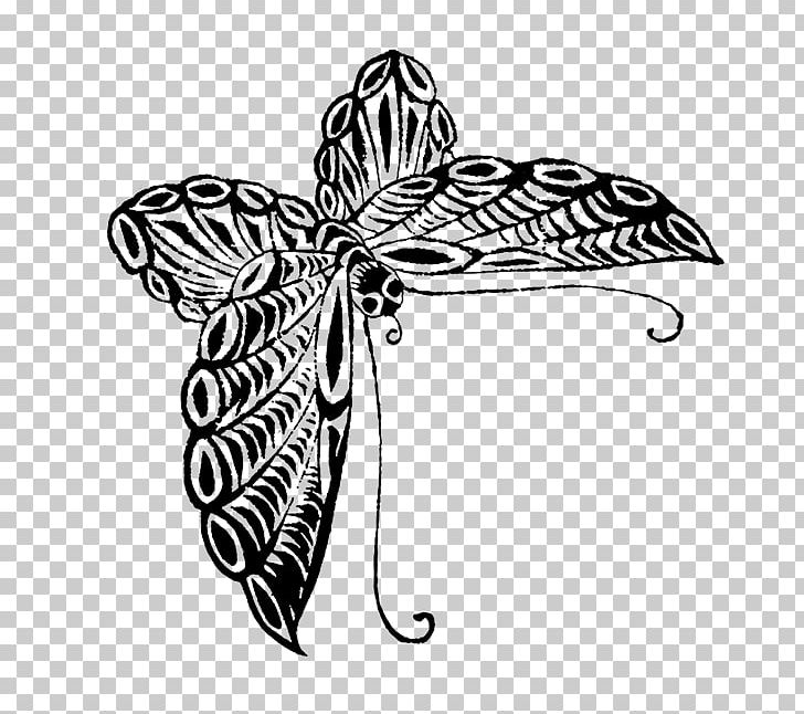 Butterfly Drawing Black And White Visual Arts Sketch PNG, Clipart, Black And White, Black Swallowtail, Butterflies And Moths, Butterfly, Color Free PNG Download