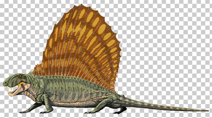 Dimetrodon Limbatus Reptile Pelycosaur Permian Dinosaur PNG, Clipart, Amphibian, Animal Figure, Animals, Apex Predator, Beak Free PNG Download