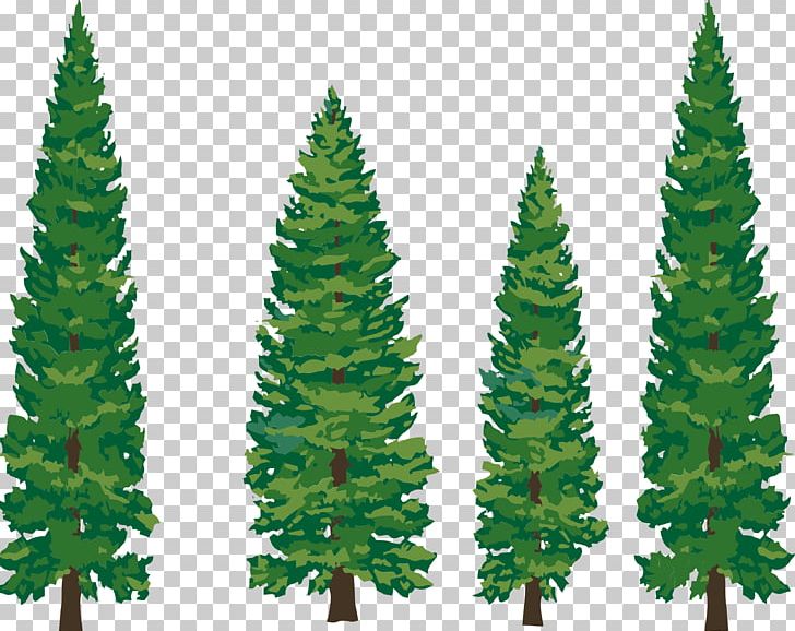 Eastern White Pine Tree PNG, Clipart, Biome, Blog, Cartoon, Cartoon Pine Tree, Christmas Decoration Free PNG Download
