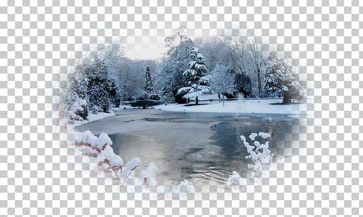 Snow Landscape Blizzard Paysage D'hiver Winter PNG, Clipart, Blizzard, Landscape, Snow, Winter Free PNG Download