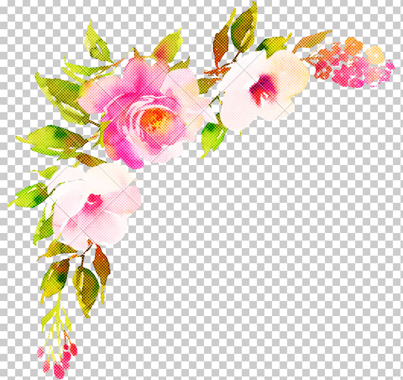 Floral Design PNG, Clipart, Artificial Flower, Blossom, Branch, Cut Flowers, Dendrobium Free PNG Download
